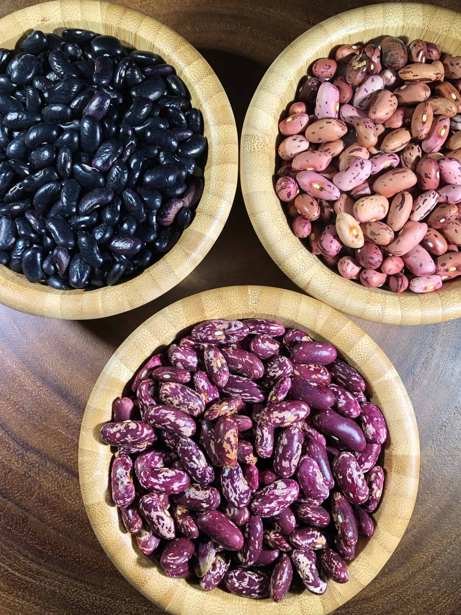 homegrown dried beans