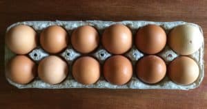 free range farm fresh eggs