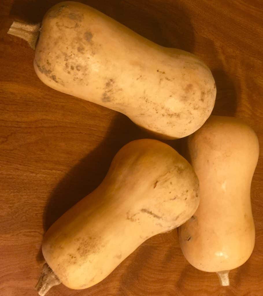 homegrown butternut squash
