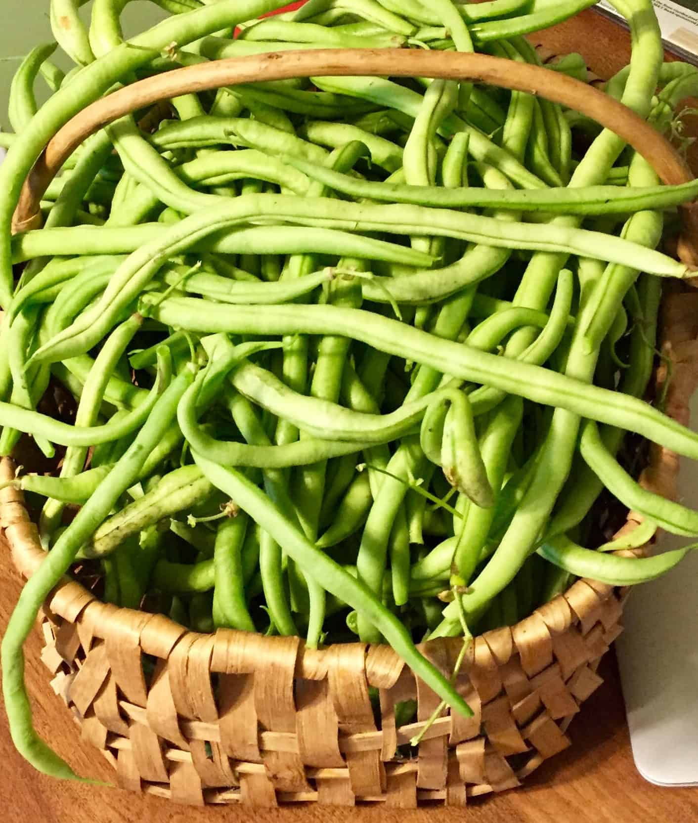 homegrown-green-beans-pesto-for-pennies