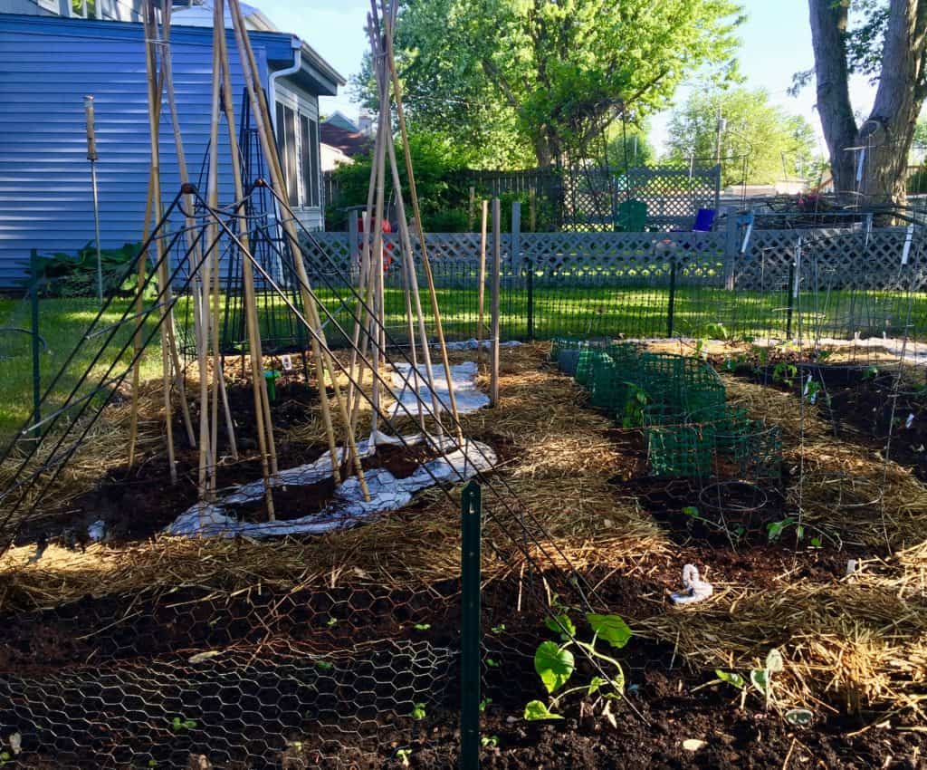 Spring Garden Designs and Strategies - Pesto for Pennies