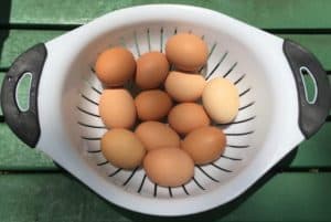 boiled and drained eggs